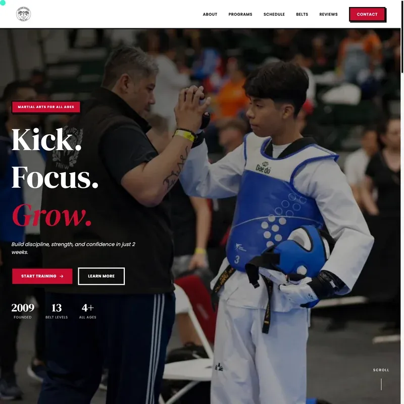 Twin Tigers Taekwondo - twintigerstaekwondo.com